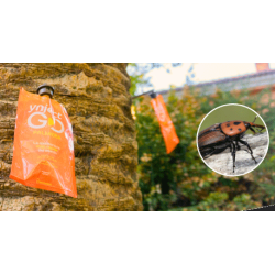 Pack 200 Ynject Go (palmeras)