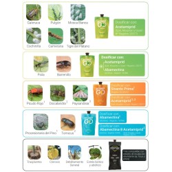 Pack 200 Ynject Go (palmeras)