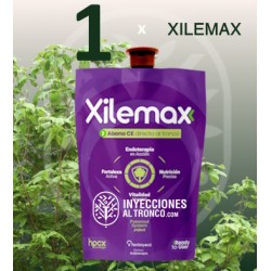 Xilemax en laboratorio botánico, fertilizante para inyecciones al tronco.