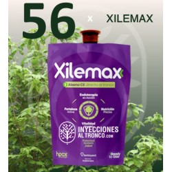 Xilemax Fertinyect para el cuidado nutricional de árboles mediante inyección.