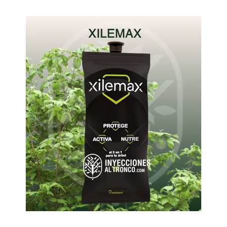 Pack 2080 Xilemax