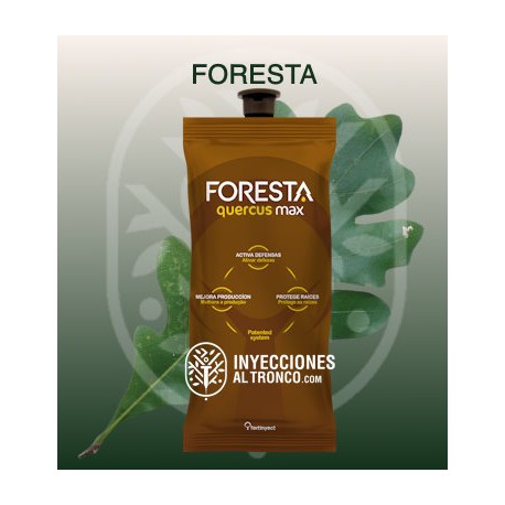 Pack 100 Ynject FORESTA quercus max (encinas, robles, alcornoques...)