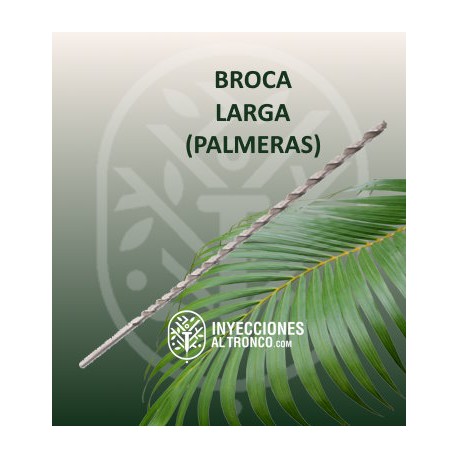 Broca larga palmera