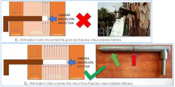 Instrucciones fertinyect