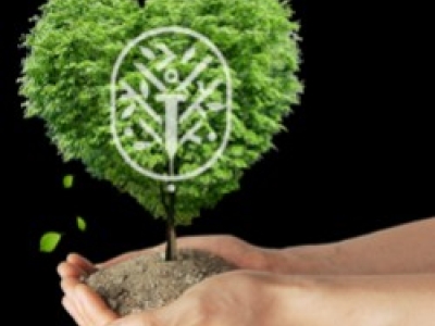 Todo lo que Necesitas Saber sobre la Endoterapia: Preguntas Frecuentes