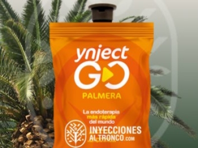 Endoterapia con Ynject GO Palmera: control de Picudo rojo y Paysandisia 